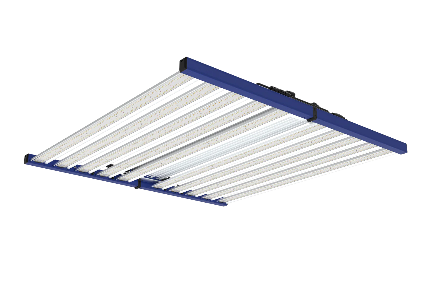 Tarantula Borg Evo 3