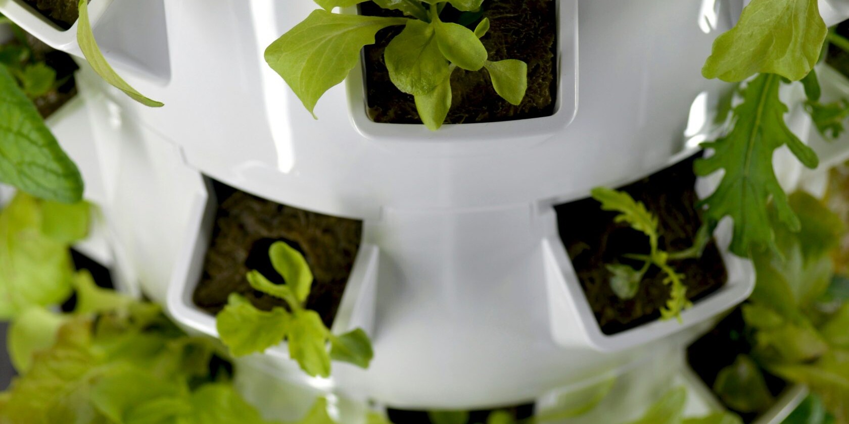 Foto mit einem Beispiel für Vertical Farming - Salat Anbau, Hydroponic 04. Source: unsplash / nadineprimeau