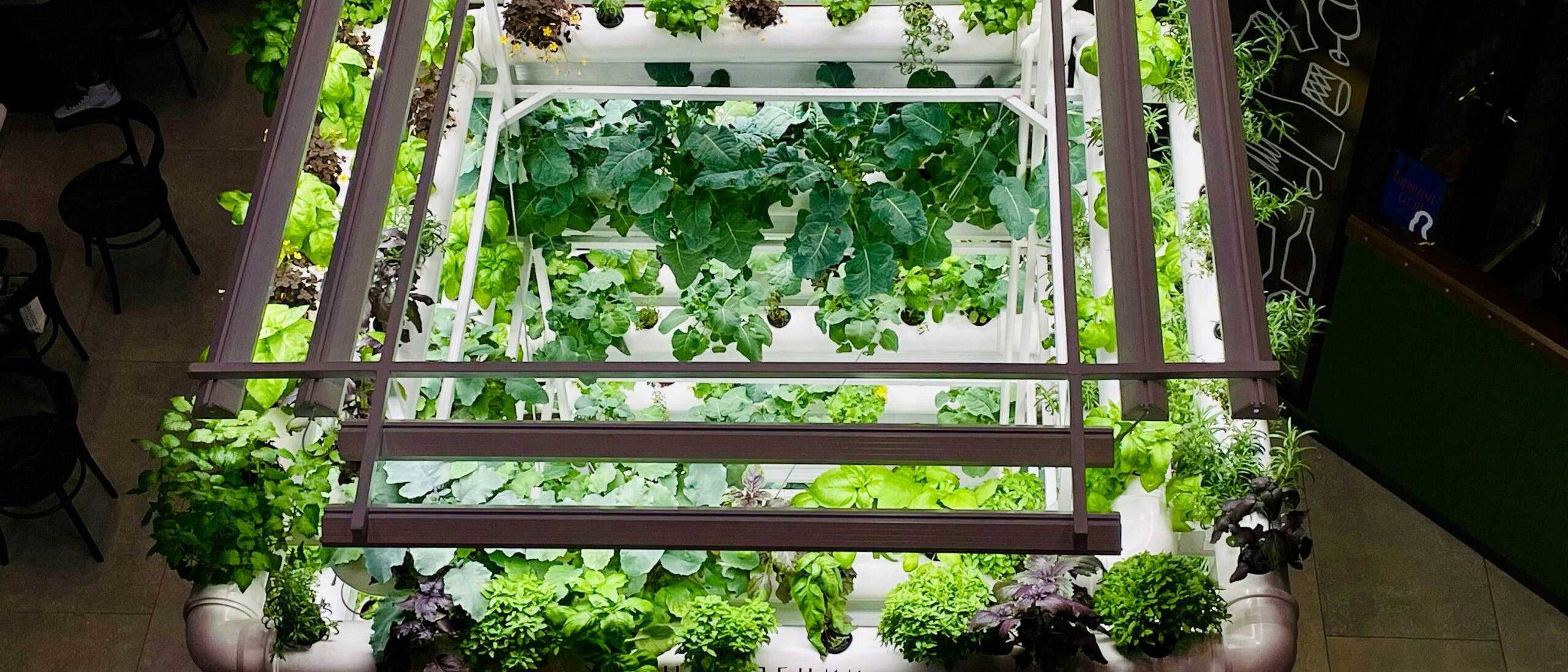 Foto mit einem Beispiel für ein Vertical Farming System. Source: unsplash / tashakostyuk