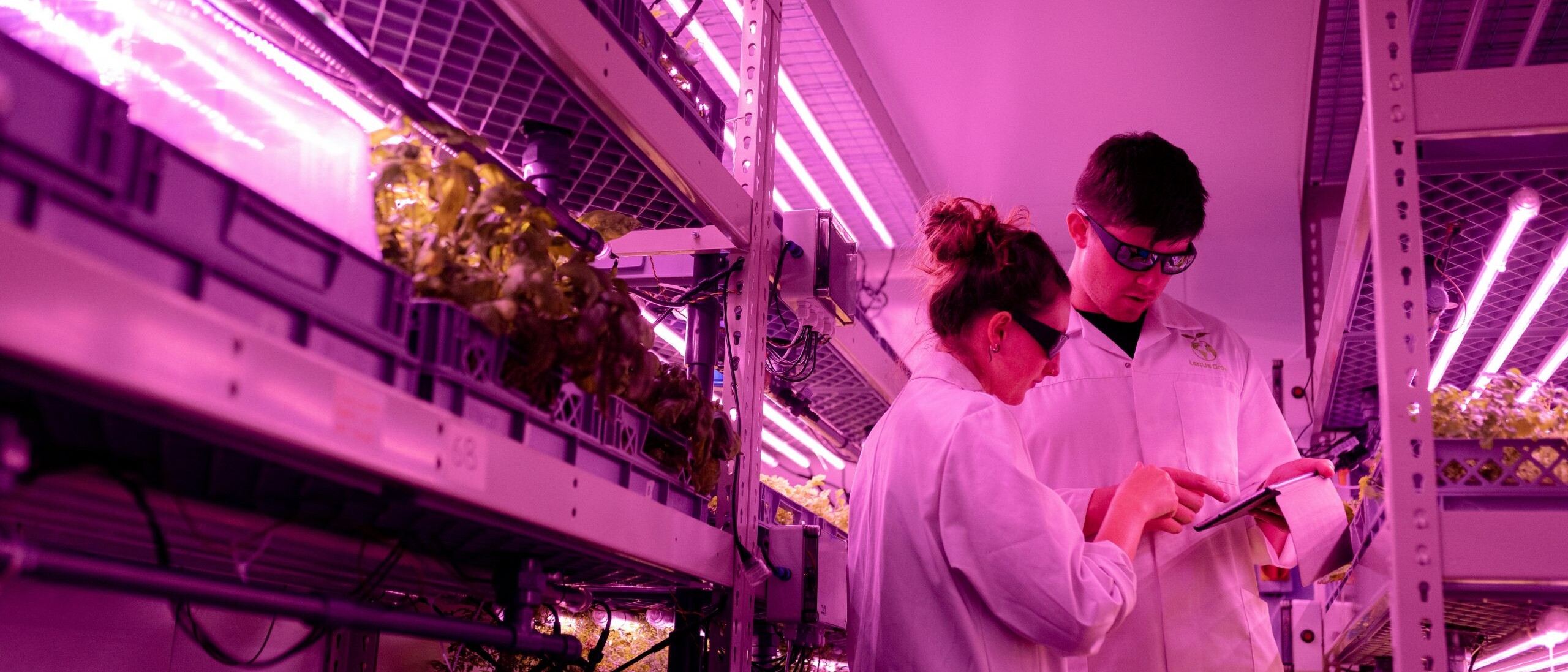 Indoor Growing - Labor Situation 01. source: unsplash / thisisengineering.