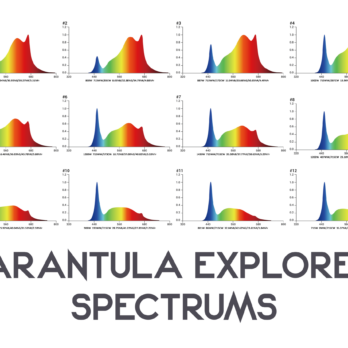 Spektren der Tarantula Explorer