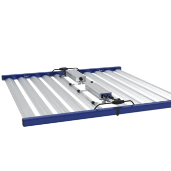 GML Tarantula Explorer