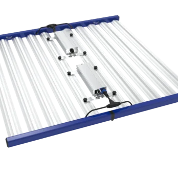 GML Tarantula Explorer