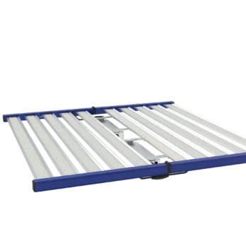 GML Tarantula Explorer